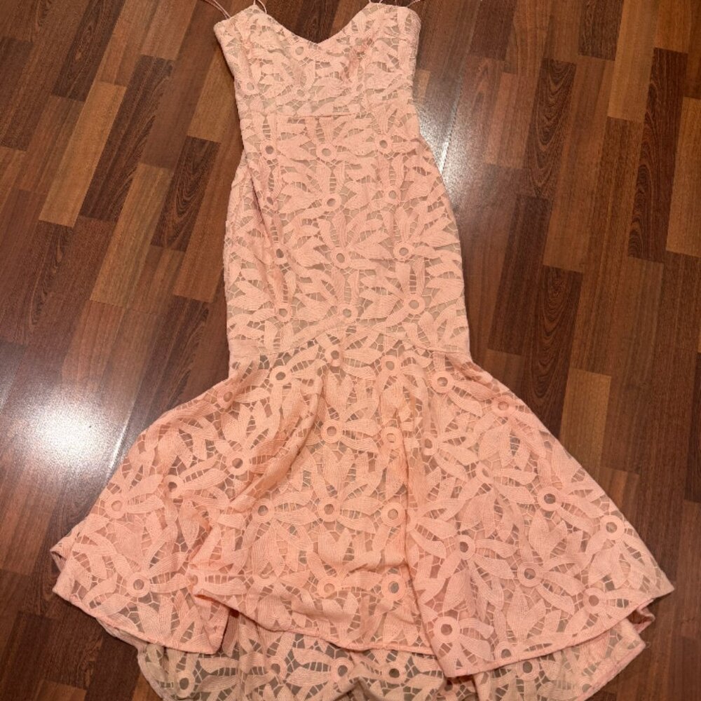 Cooper St Lady of Venice Gown - Cosmetic Pink Dress (Size 4)
